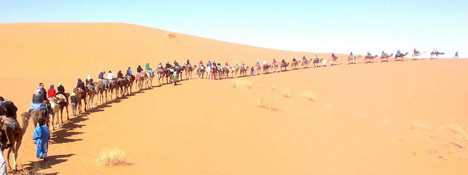 camel tour sahara desert