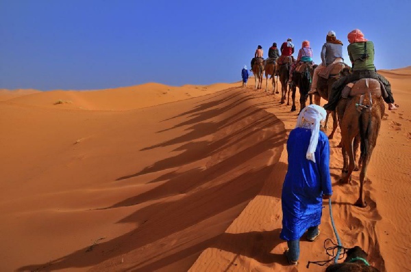 camel tour desert
